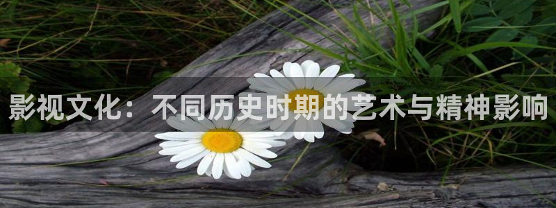 木瓜成人影院：影視文化：不同歷史時期的藝術與精神影響