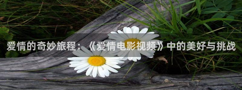 木瓜午夜影視：愛情的奇妙旅程：《愛情電影視頻》中的美好與挑戰