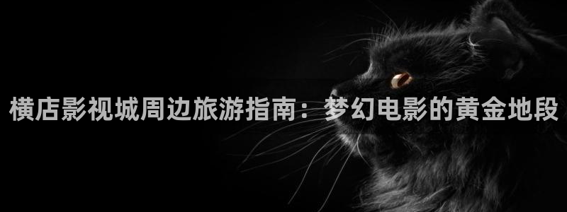 木瓜電影免費觀看：橫店影視城周邊旅游指南：夢幻電影的黃金地段