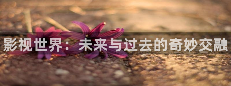 木瓜可以：影視世界：未來(lái)與過(guò)去的奇妙交融