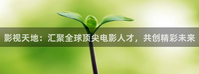 木瓜影院午夜：影視天地：匯聚全球頂尖電影人才，共創精彩未來
